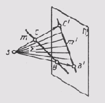 § 28.  