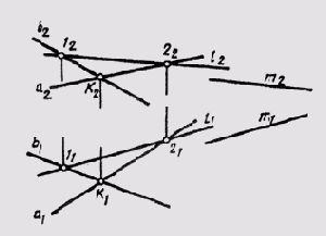 § 49.   ,   